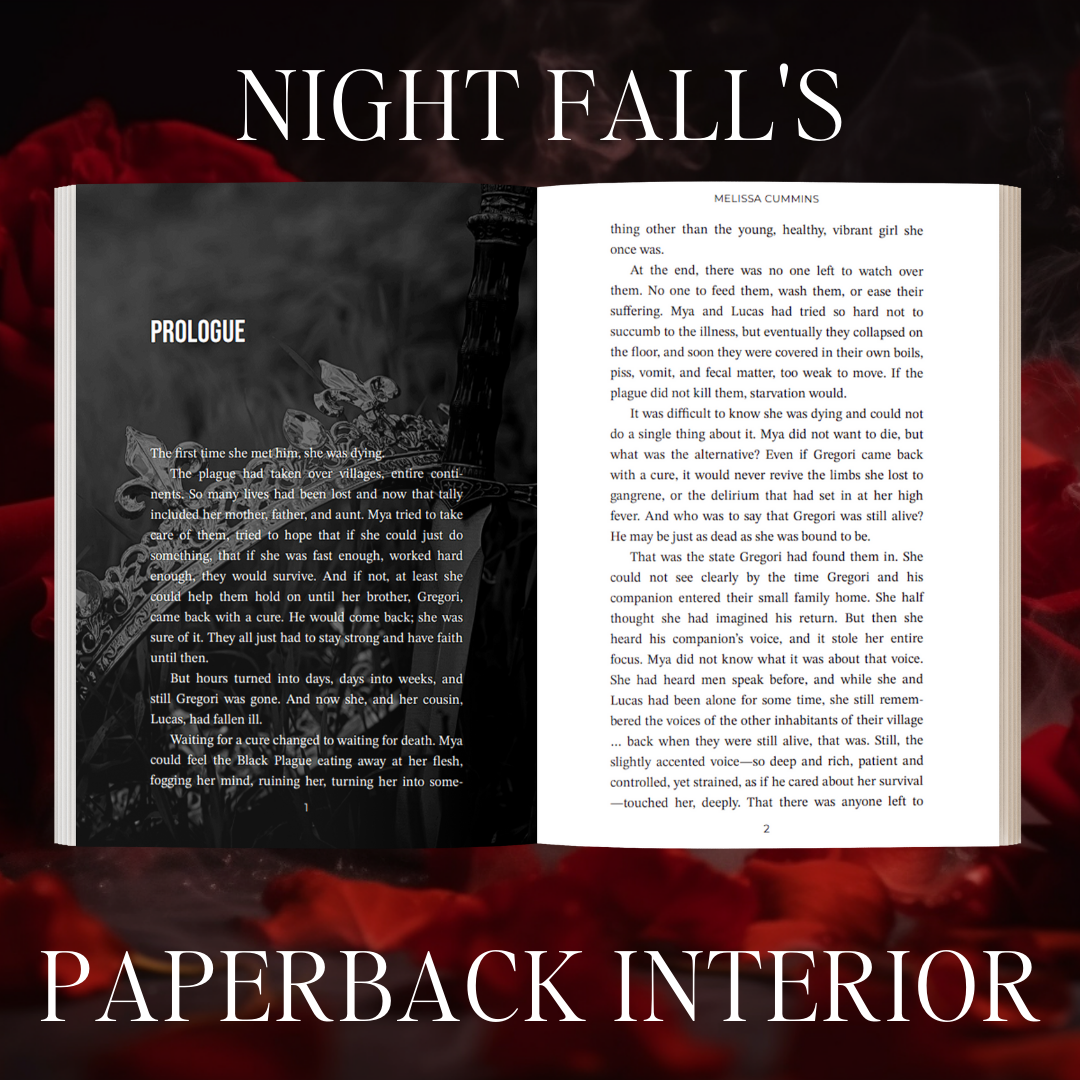 Scratch & Dent - Night Fall Paperback