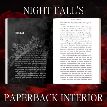 Scratch & Dent - Night Fall Paperback