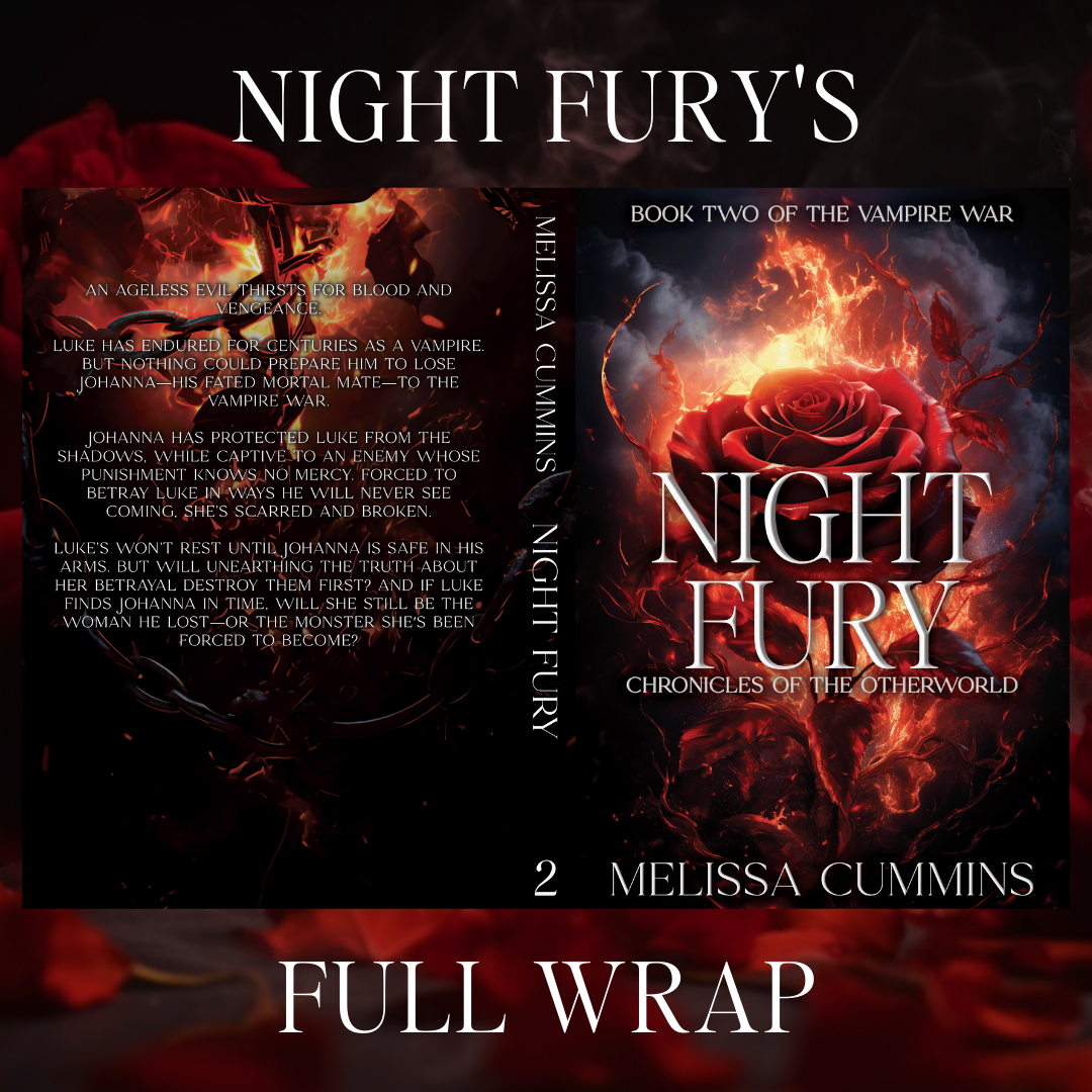 Scratch & Dent - Night Fury Paperback