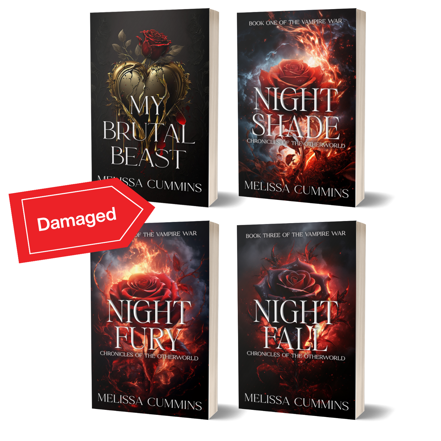 Scratch and Dent - Immortal Book Boyfriends Paperback Bundle