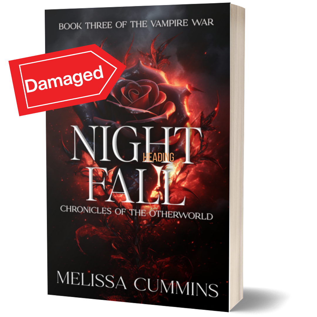 Scratch & Dent - Night Fall Paperback