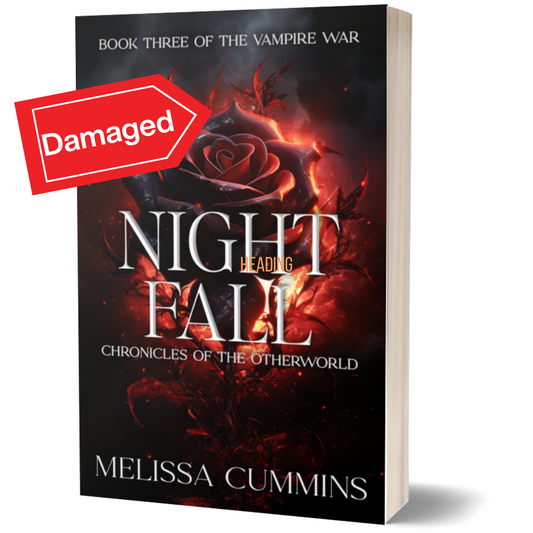 Scratch & Dent - Night Fall Paperback
