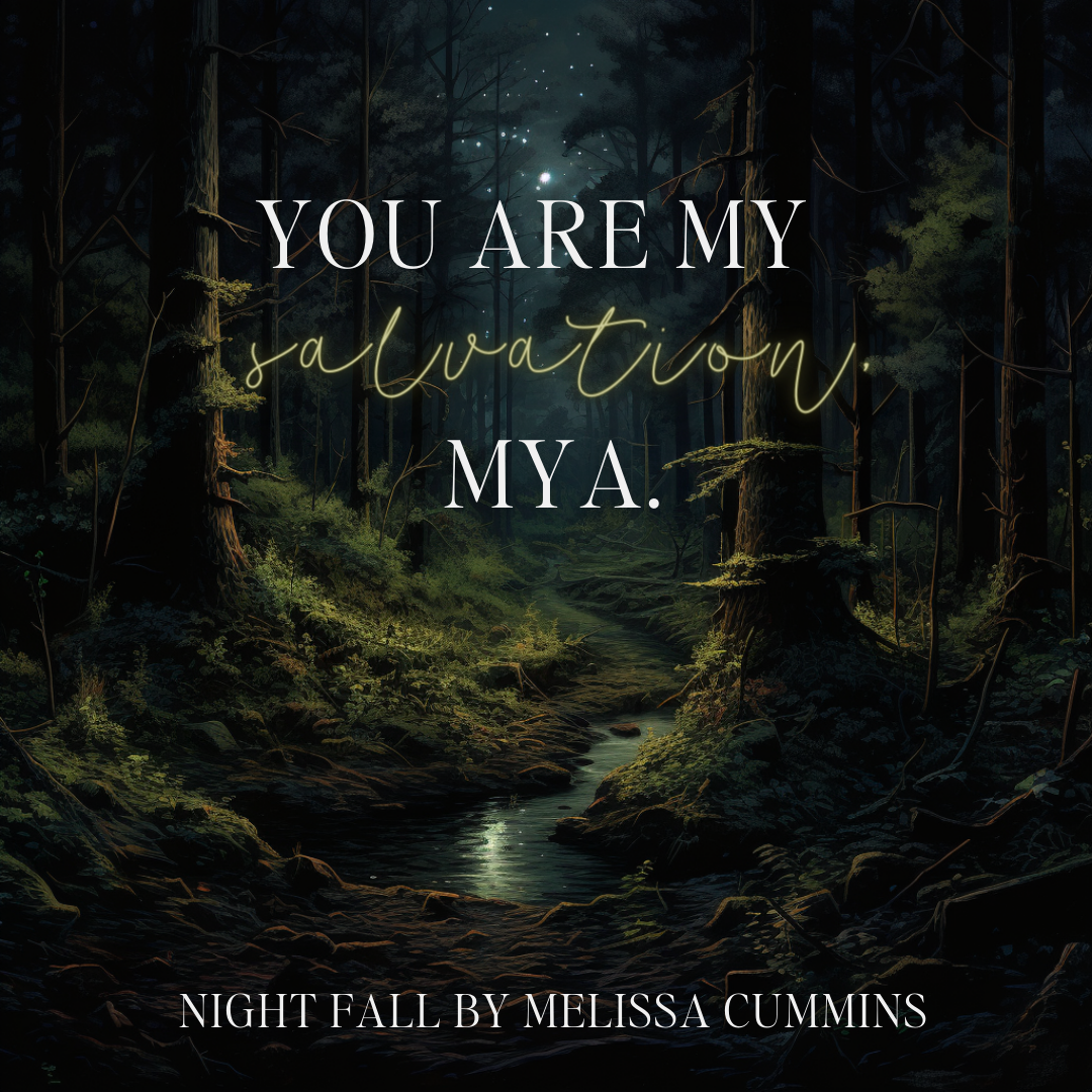 Night Fall Audiobook (Single Cast)
