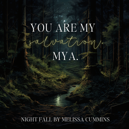 Night Fall Audiobook (Single Cast)