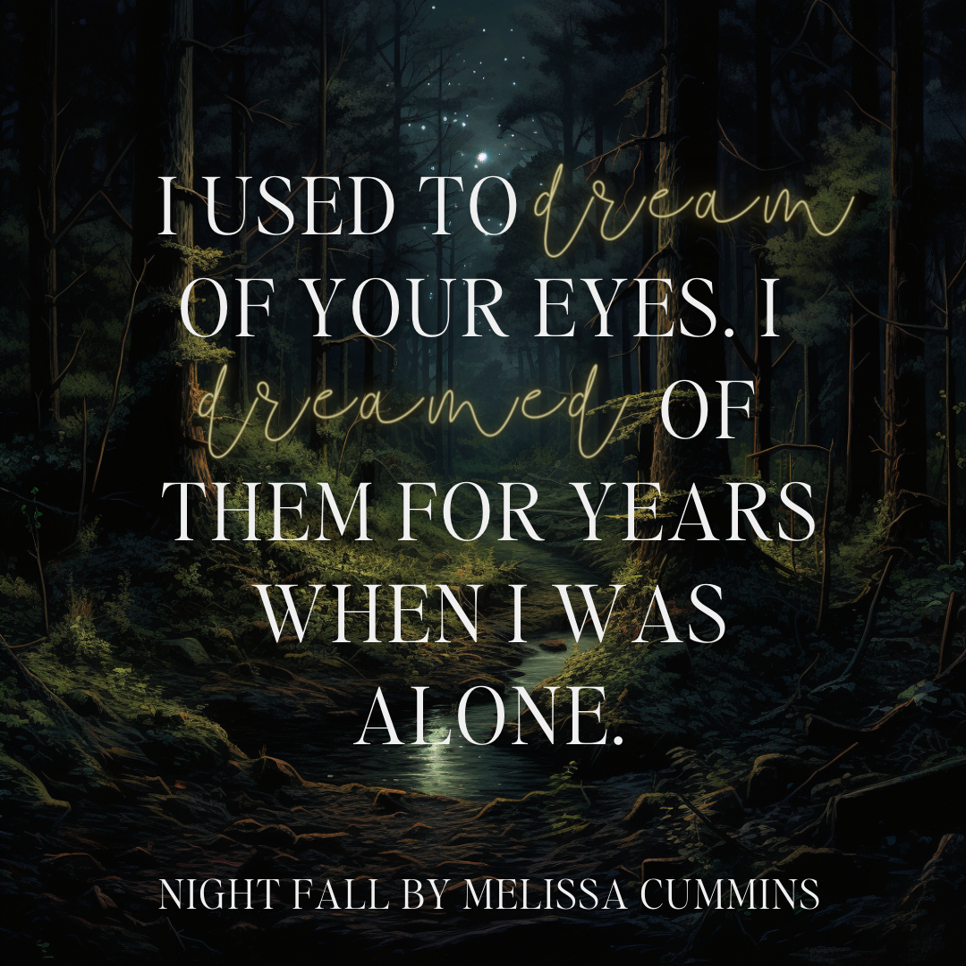 Night Fall Audiobook (Single Cast)