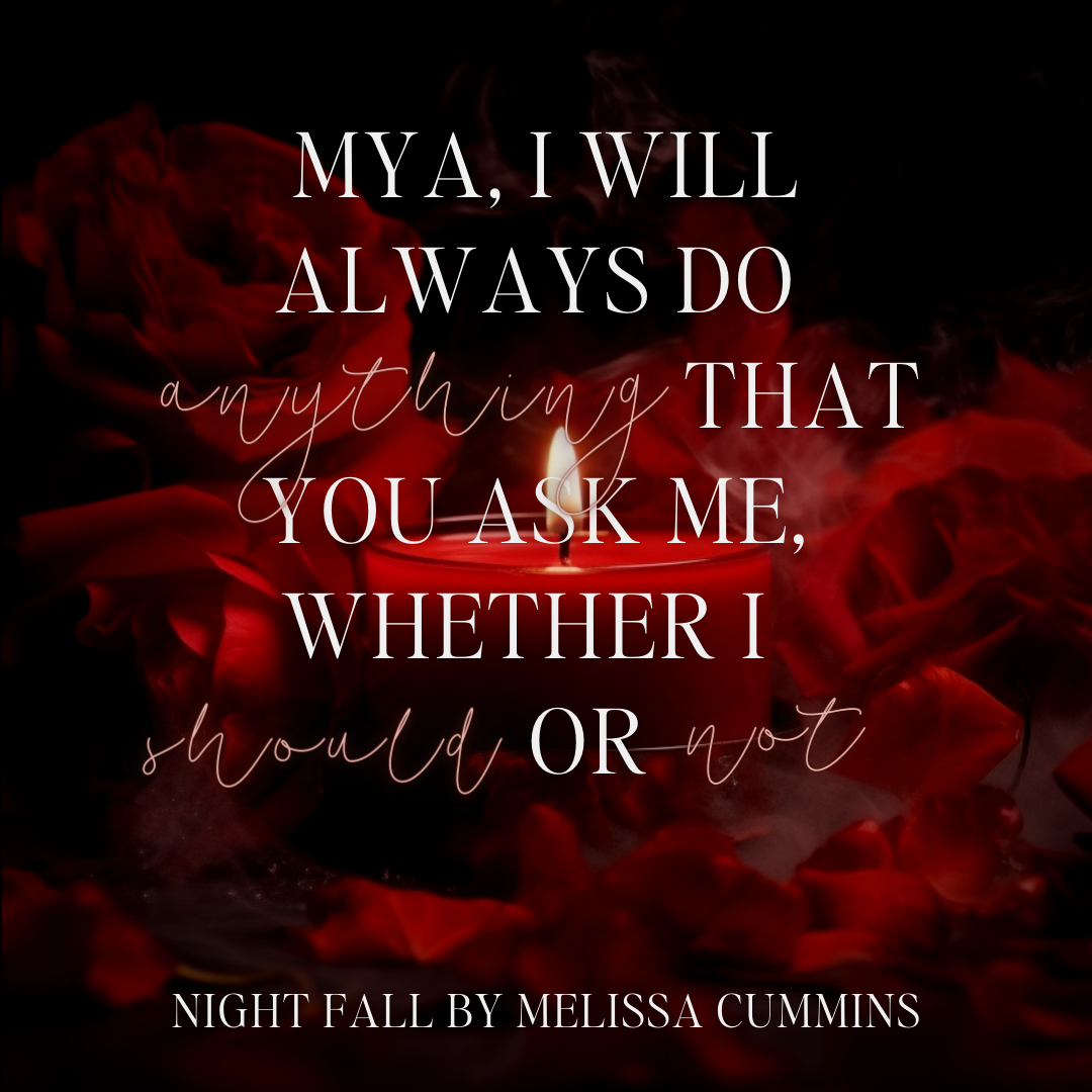 Night Fall Audiobook (Single Cast)