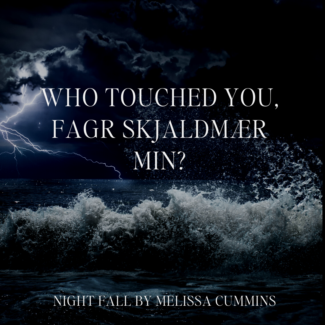 Night Fall Audiobook (Single Cast)