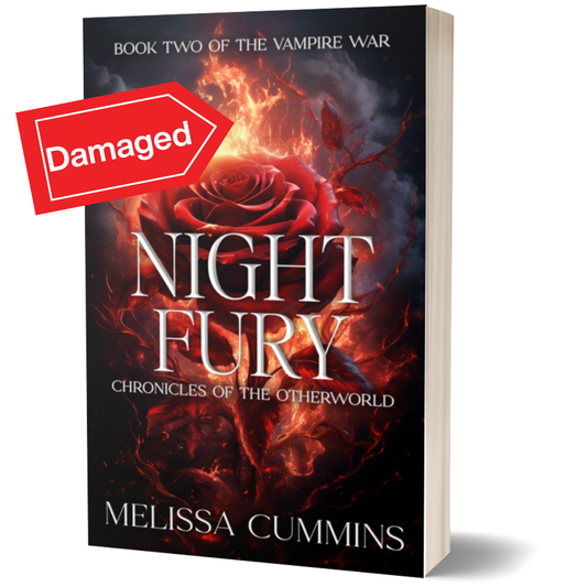 Scratch & Dent - Night Fury Paperback