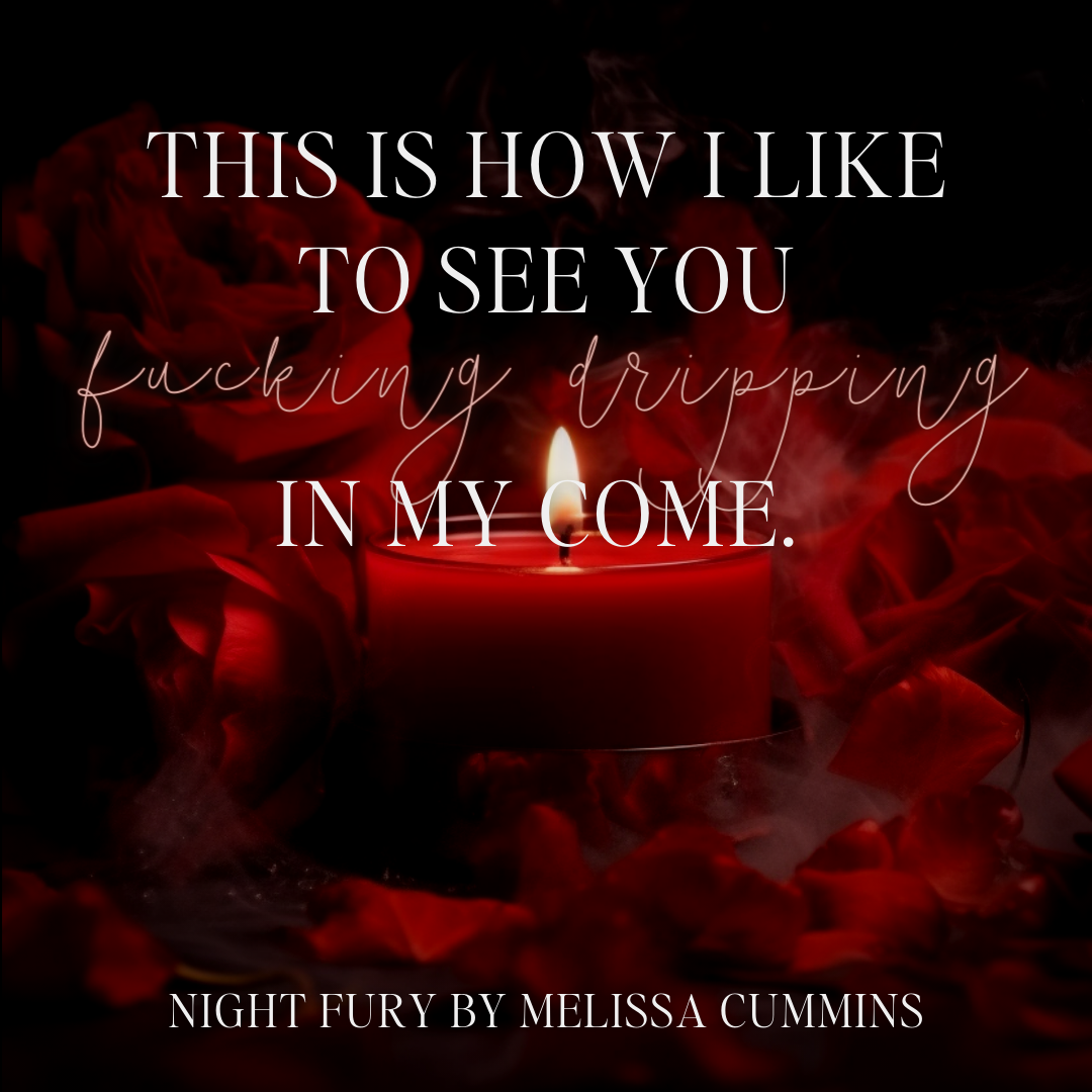 Night Fury Audiobook (Single Cast)