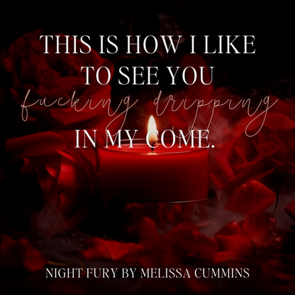 Night Fury Audiobook (Single Cast)
