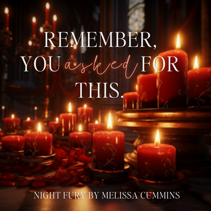 Night Fury Audiobook (Single Cast)
