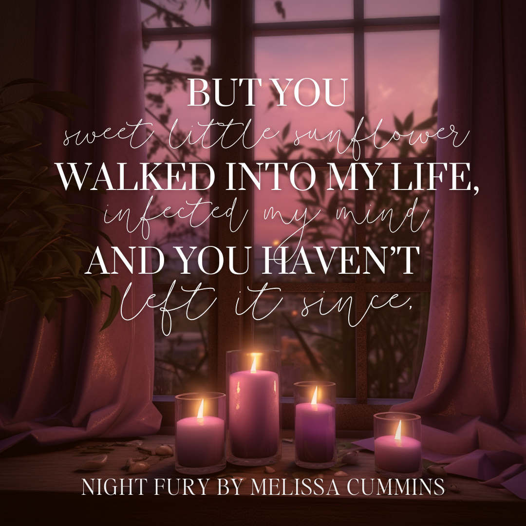 Night Fury Audiobook (Single Cast)